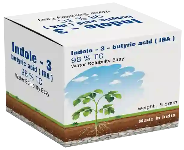Indole butyric acid 98% 24 packs