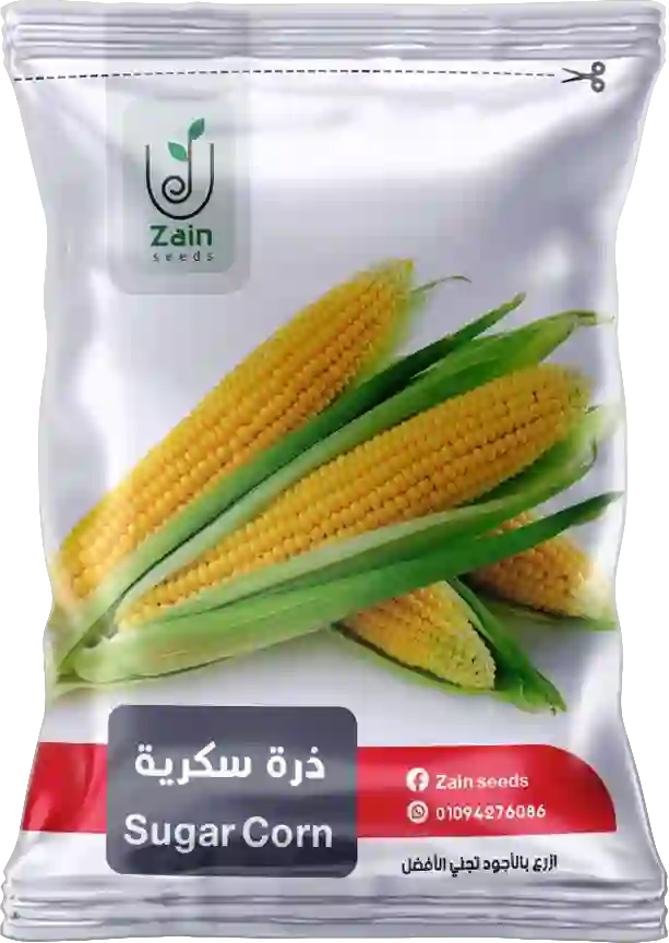 Sweet corn seeds