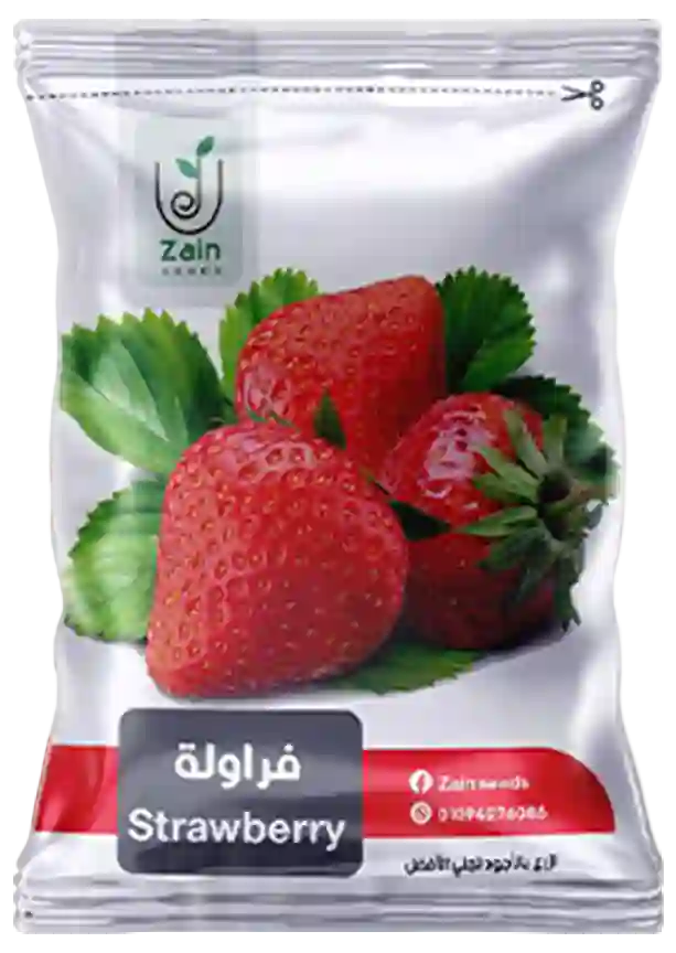 بذور فراولة