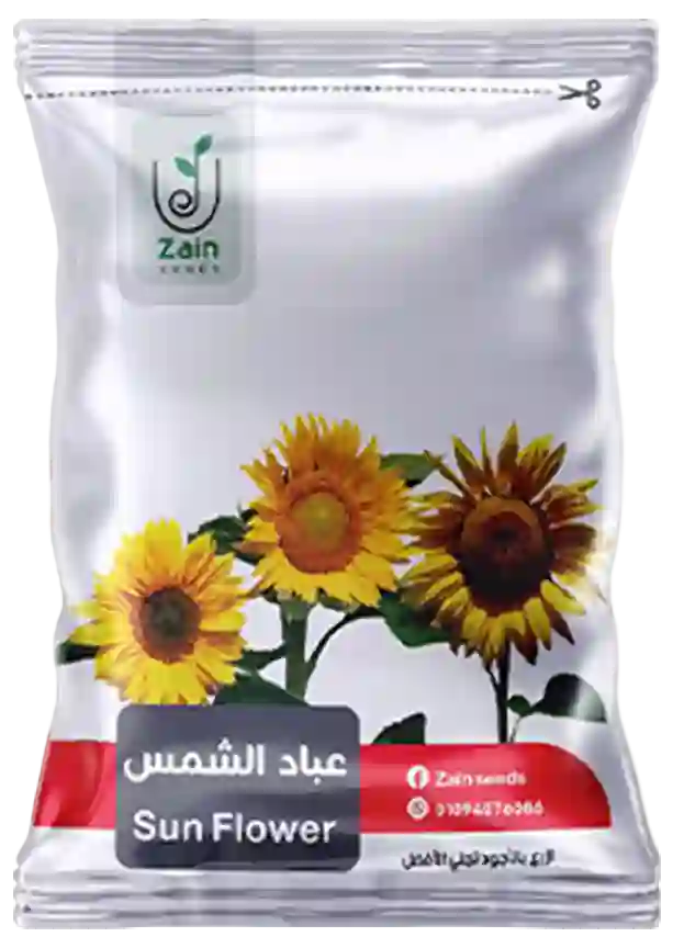 Sunflower seeds