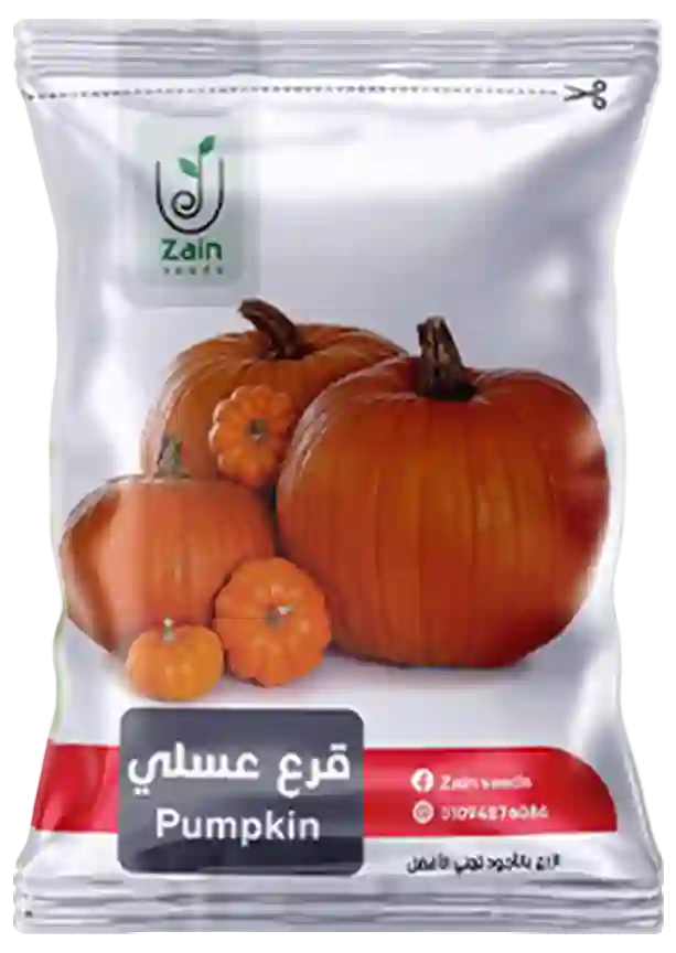 بذور قرع عسلى