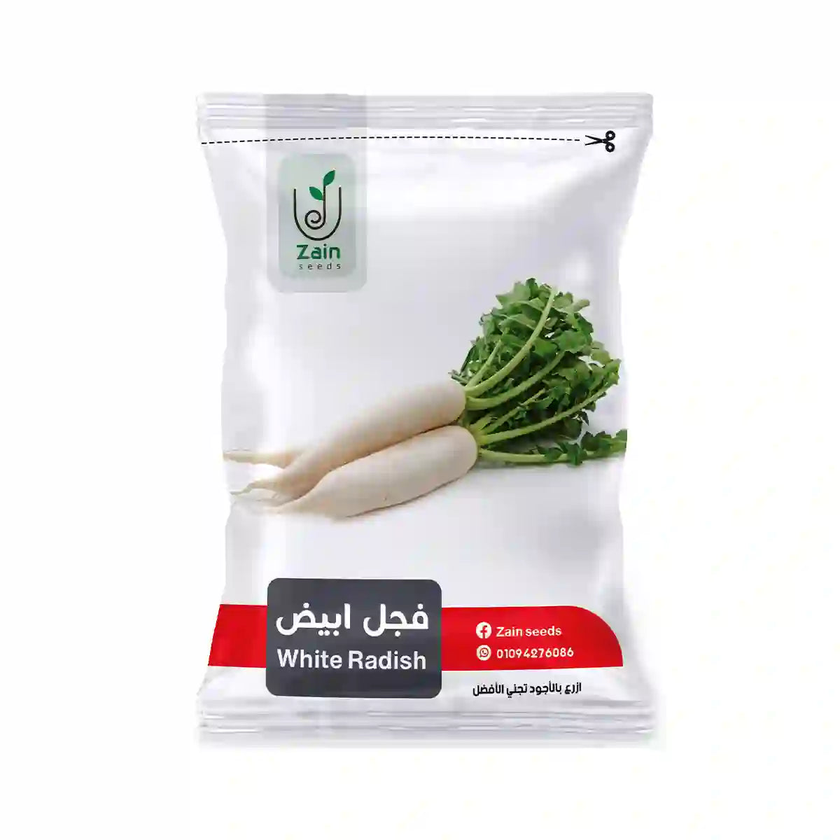 بذور فجل أبيض