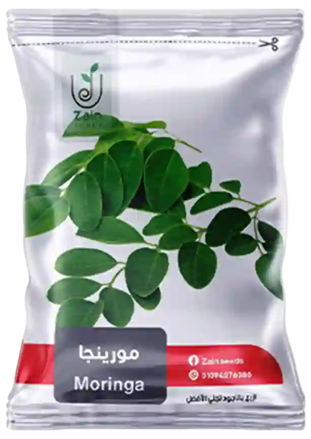 بذور مورينجا