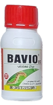 BAVIO