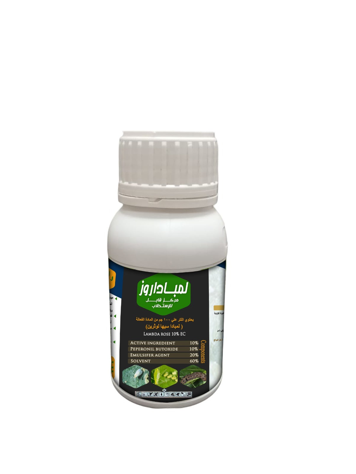 لمبادا روز %10