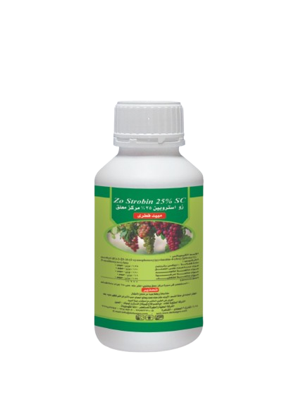 زو ستروبين%25