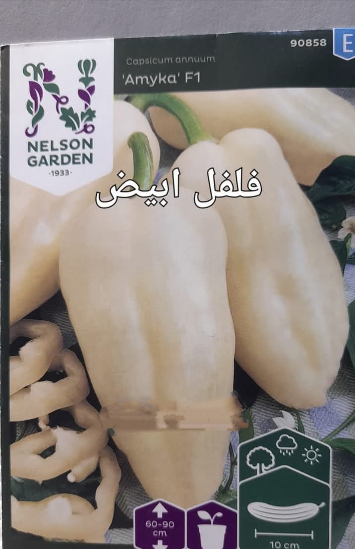 White pepper seeds