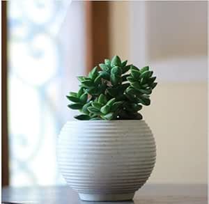 A sturdy, strong, and nice striped circular plastic pot from Zalata is a great addition to your balcony or garden. White, polyethylene (PE).