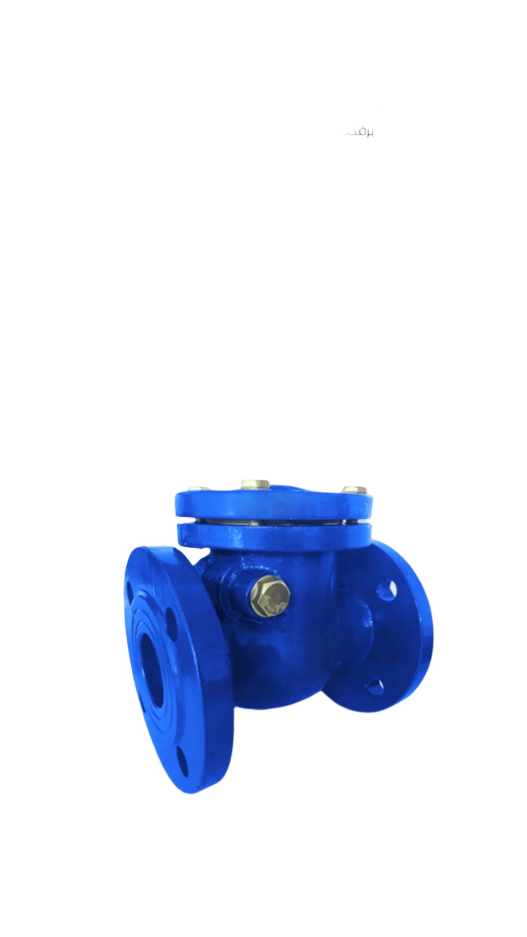 Swing check valve