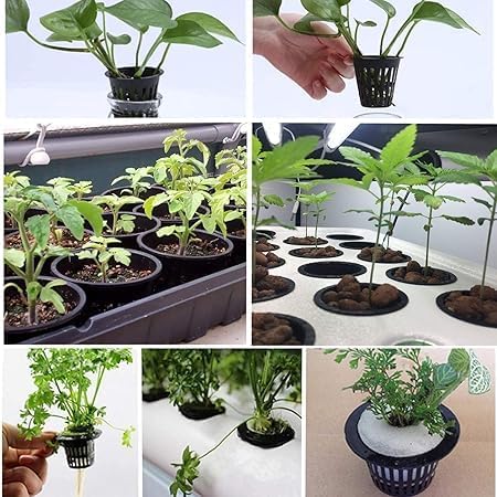 mesh plant pots Plastic mesh planting cup for hydroponic growth, reusable for garden, – Qamhawey Shop