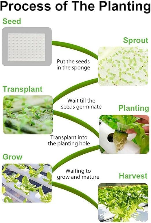 Plastic mesh hydroponic planting cup, reusable for garden, basket, and pond planting, durable and highly resistant cup, pack of 10 pieces, white color.