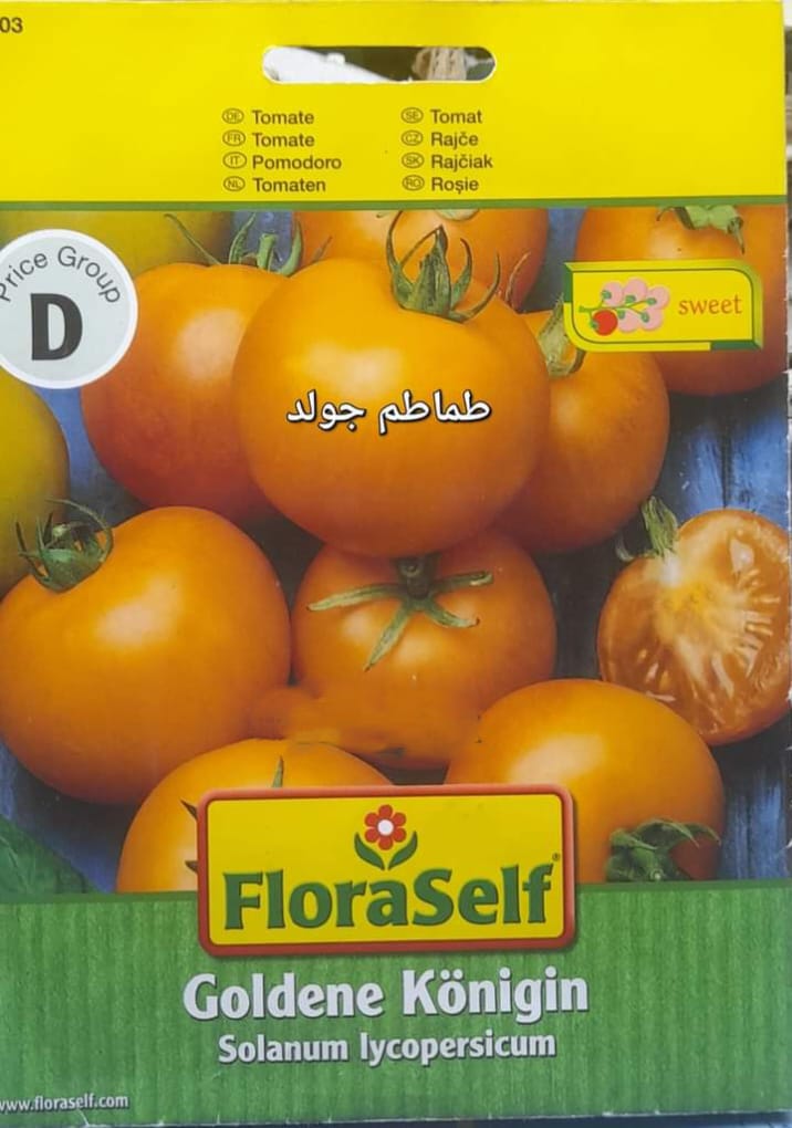 Gold tomato seeds