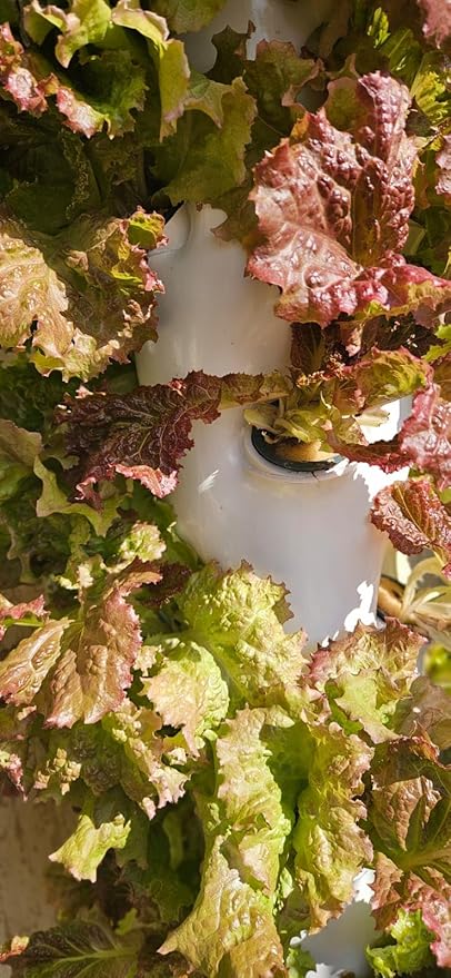 Tower s:36 Plants, without Soil,, Plant Tower with Self Watering Pump Suitable for Indoor and Outdoor Use