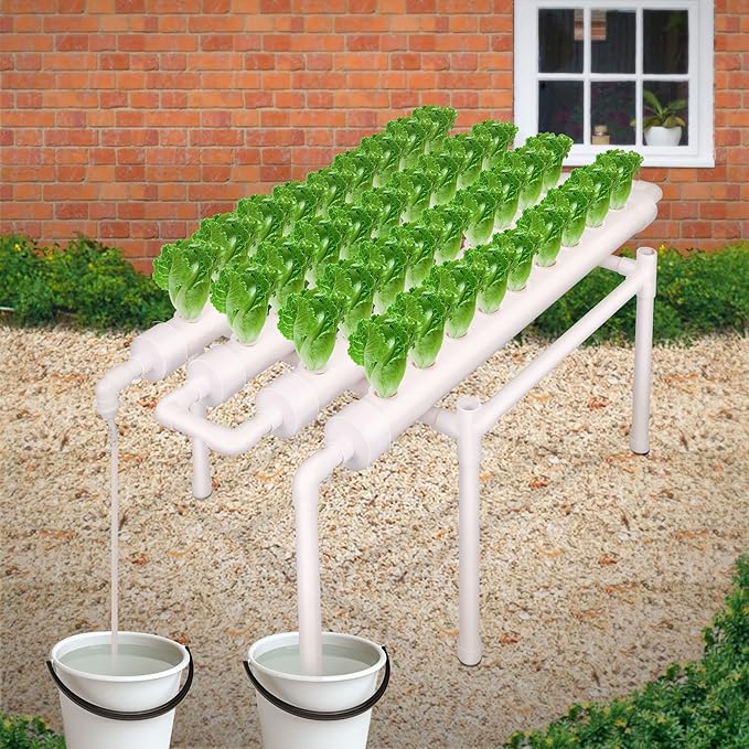 RYFT Ryan Hydroponic Grow Kit 1 Layers 36 Holes Plant Sites,Hydroponic Planting Equipment, Hydroponics Growing System, Vegetable Tool Grow Kit Includes Water Tube, Timer