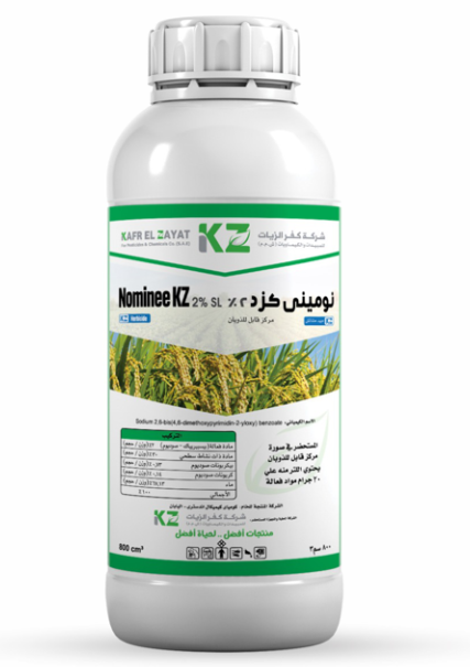 نومینی