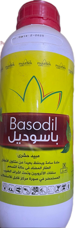 Bassoudil