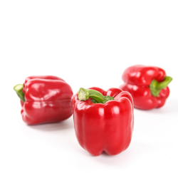 روتسكا ار – زد