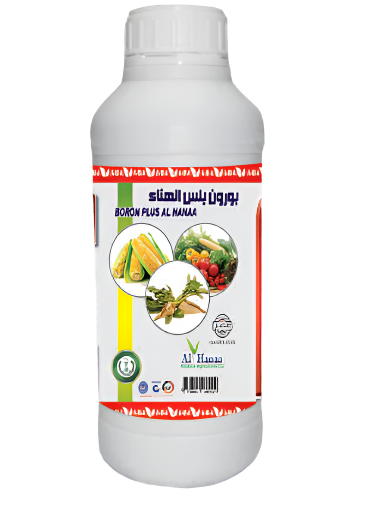 بورون بلس الهنا