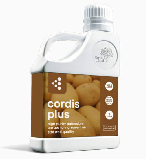 Cordis Plus