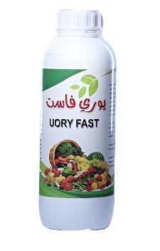 يورى فاست