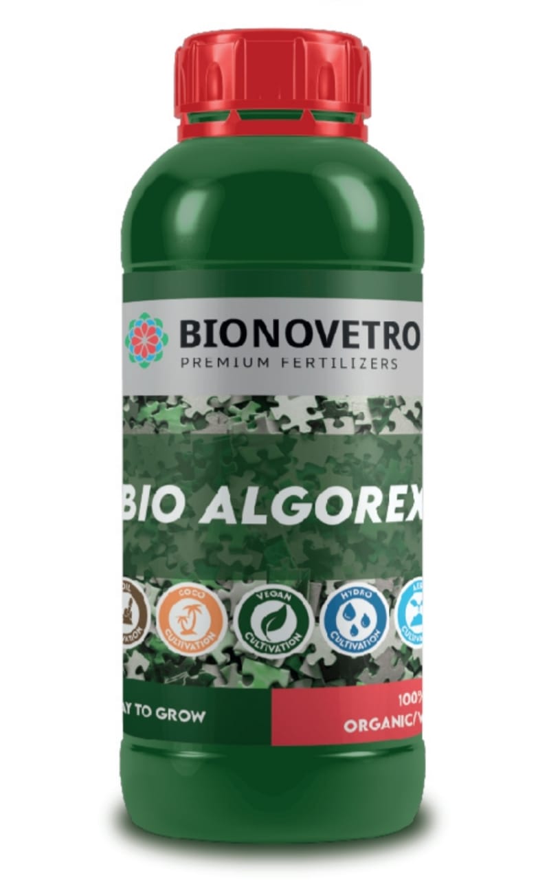 Bio Algorex