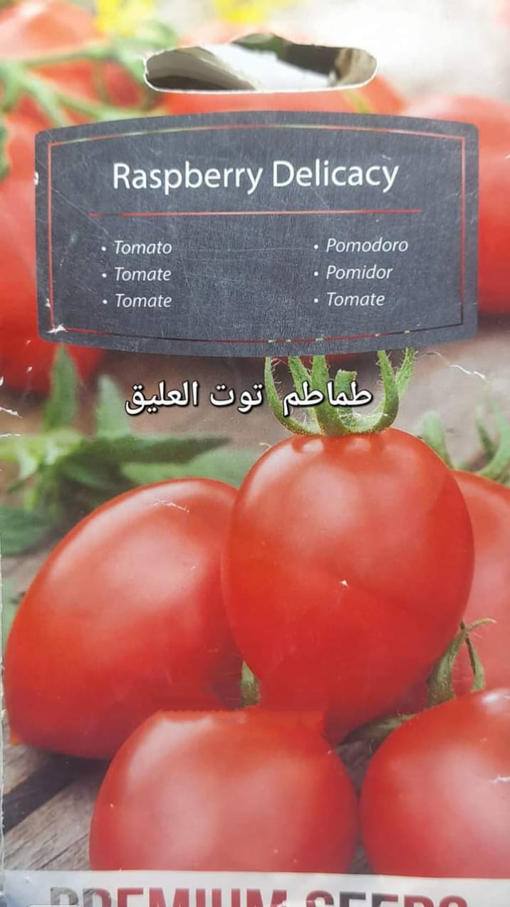 بذور طماطم توت العليق