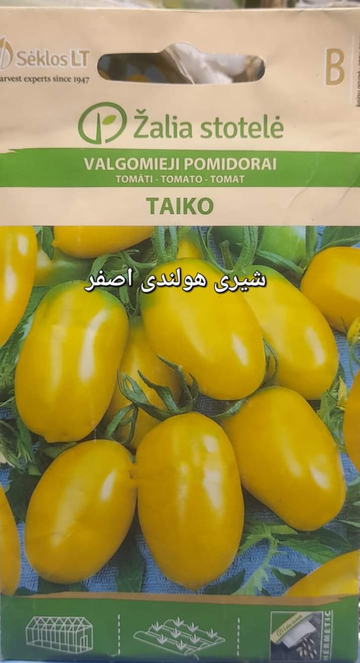 Yellow Dutch cherry tomato seeds
