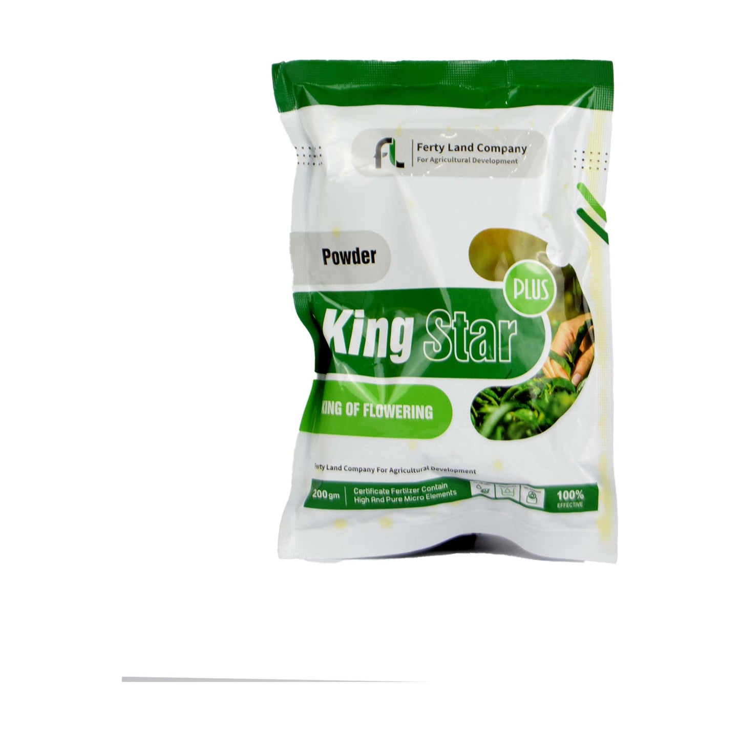 King Star