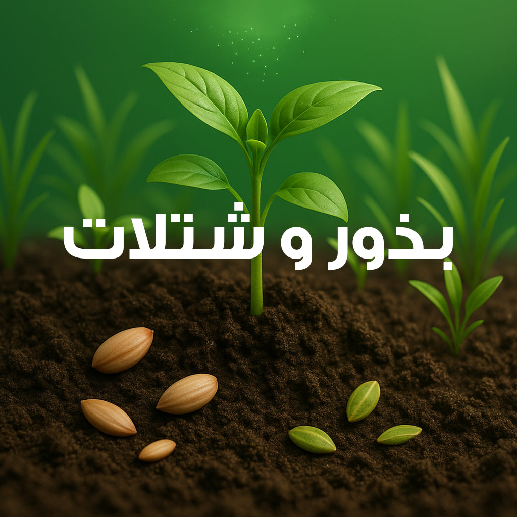 Seeds & Seedlings