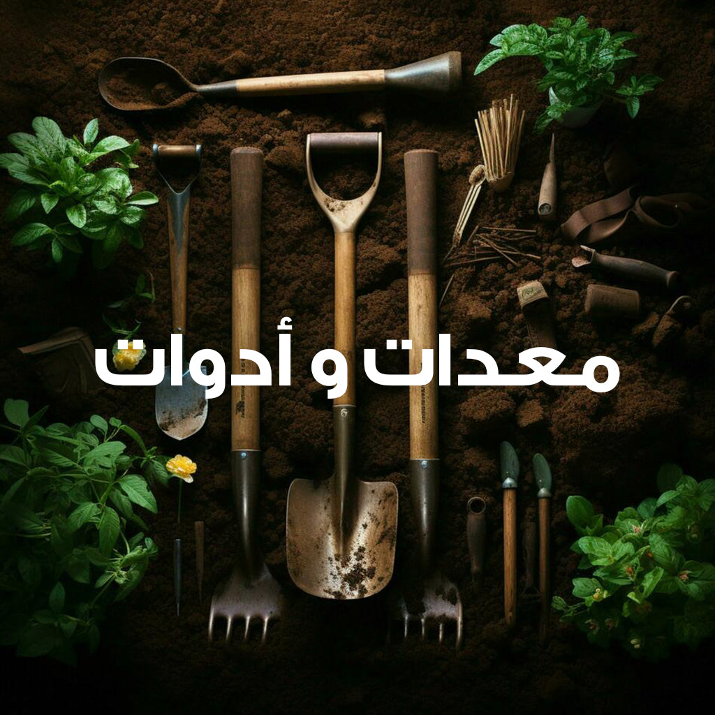 Tools & Equipment