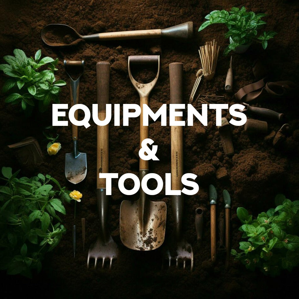 Tools & Equipment
