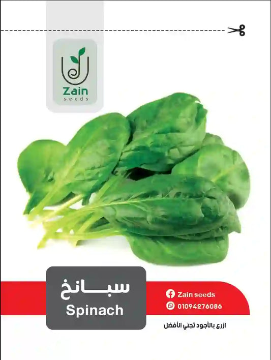 Spinach Seeds