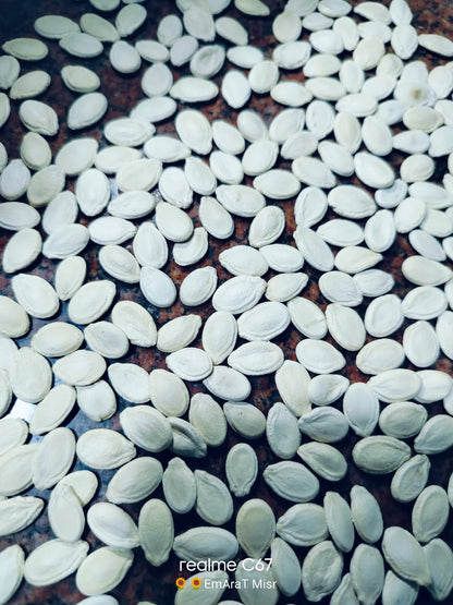 Super white Melon seeds