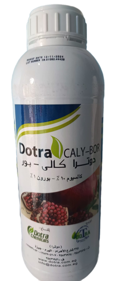 Dorta Caly- Bor