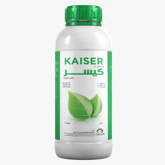 Kaiser