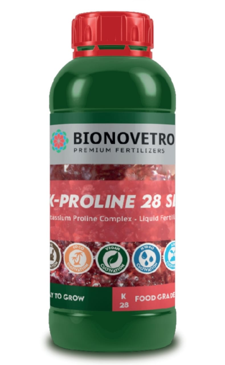 K-PROLINE 28