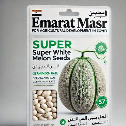 Super white Melon seeds
