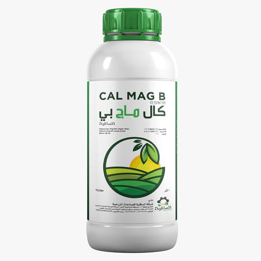 Cal Mag B