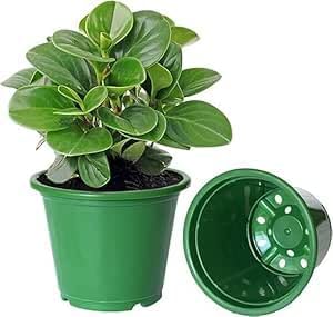 Plastic Flower Pots Set, Durable and Lightweight, Perfect for Flower Seedlings and Small Plants, Indoor and Outdoor Use, Plant Pot, Value Pack of 4,  Modern Design - Green.