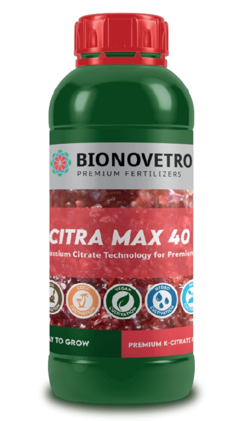 K-Citra Max 40