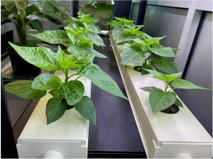 ,NFT Tube,For Hydroponics For Garden Indoor And Outdoor,Eco-Friendly,Safe,6-Pack For Indoor And Outdoor Gardening Grow