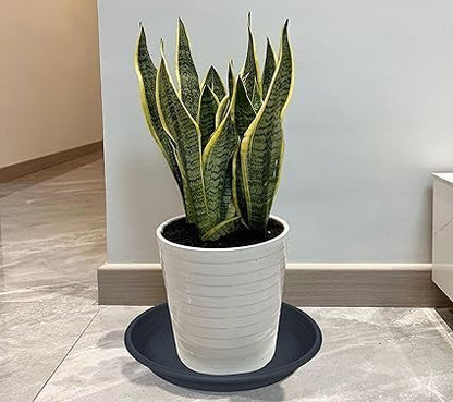 Set of 5 Black Plant Pots, 30cm Round Plant Pot Trays for Garden, Plastic Plant Saucer, Suitable for Indoor Outdoor Garden, Black Plant Pot