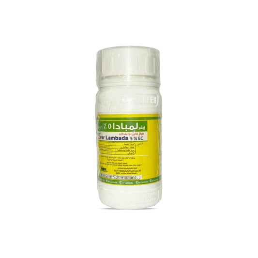 Lambada 5%