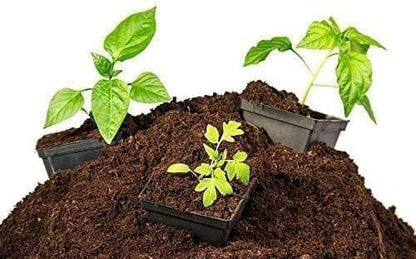 Soil ready for cultivation, petmos, natural, imported high absorbency,excellent soil mix, imported betmos ready to use (kilograms, 2)