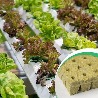 99 Pcs Rock Wool Starter Kit for Beginners, Soilless Growing Rockwool Mat, Plant Seed Growing Cubes, Seed Germination Tray, Seed Seedlings, Cube Size 2x2x4cm