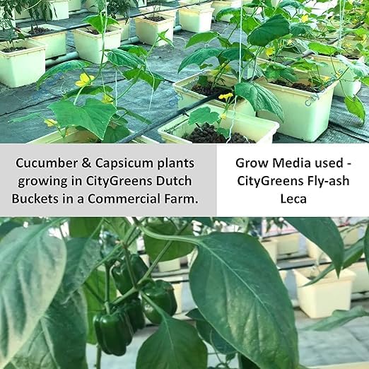 Hydroponics, Bucket, Dutch, Helps Maintain Crops, 5 Pieces (, Beige)
