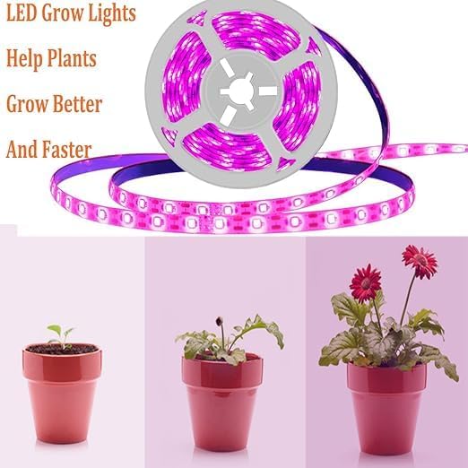 Miryam 12v plant growth LED light strips for all-spectrum growth, waterproof growth bulbs for indoor planting, hydroponics, greenhouses, and gardening. Acrylic, plug-free, purple color.
