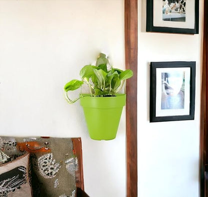 20cm Wall Planter Pot for Vertical Flower Garden or Living Wall Herb Kitchen Plastic Mounted Flat Back Design and Saucer Connected .4pcs Green