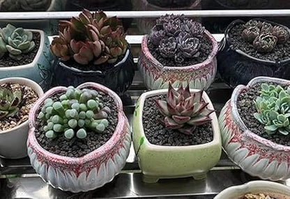 Horticultural soil from volcanic rocks, for plants, cacti, succulents, and landscaping.  (3 kg).