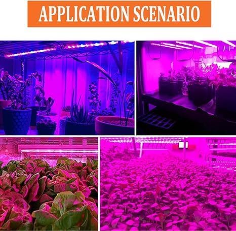 Miryam 12v plant growth LED light strips for all-spectrum growth, waterproof growth bulbs for indoor planting, hydroponics, greenhouses, and gardening. Acrylic, plug-free, purple color.